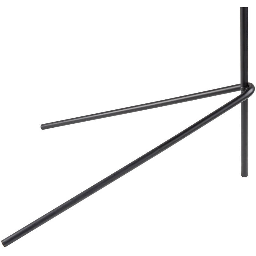 Rula Rustic Black Floor Lamp